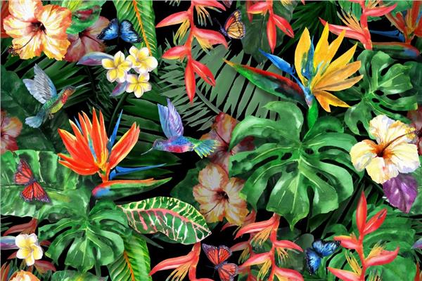 Tropical Leaflar and Colorful Flowers Wallpaper by MywallpaperShop
