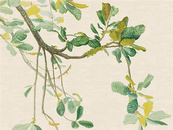 Vintage Tree Dallari Design Wallpaper by MywallpaperShop