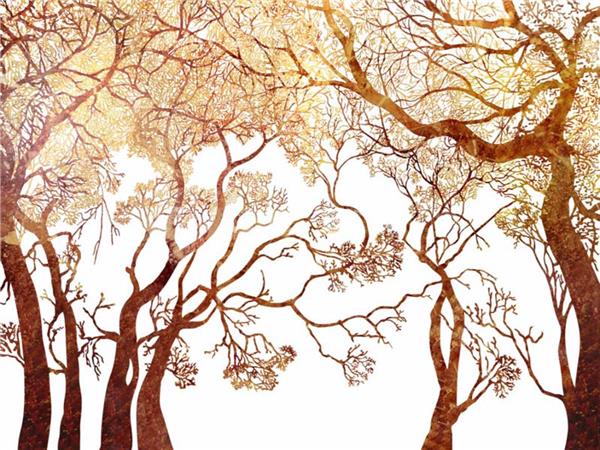 Custom Design Tree Design Wallpaper by MywallpaperShop