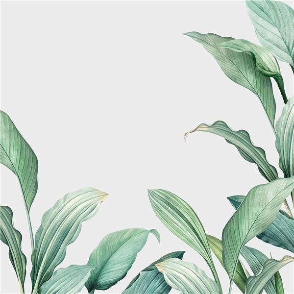 Leaf Wallpaper by MywallpaperShop