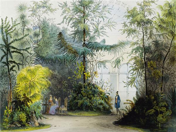 Yagli Boya Gorunum Botanic Design Wallpaper by MywallpaperShop