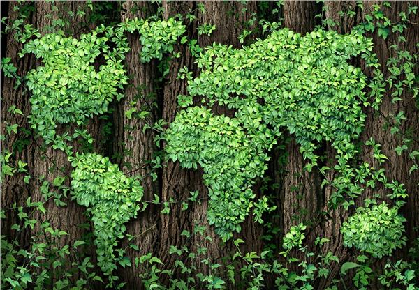 Green World Map Wallpaper by MywallpaperShop