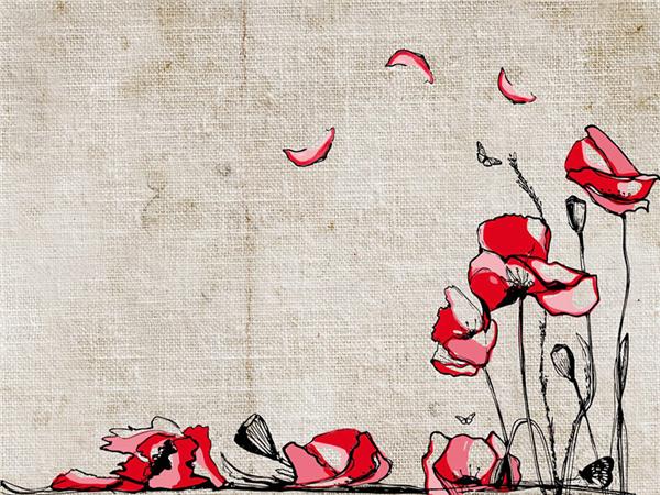 Zarif Flowers Wallpaper by MywallpaperShop