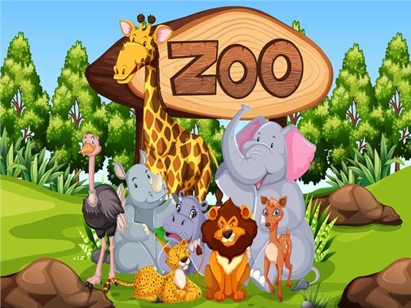 Zoo Kids Room Wallpaper by MywallpaperShop