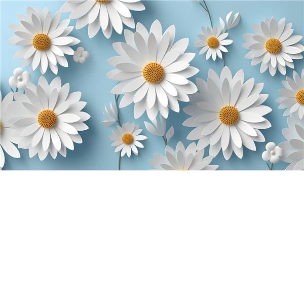 White Papatya Wallpaper by MywallpaperShop