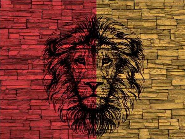 Lion Wallpaper by MywallpaperShop
