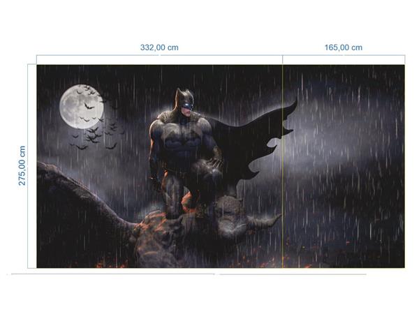 Batman and Elsa Kids Room Wallpaper by MywallpaperShop