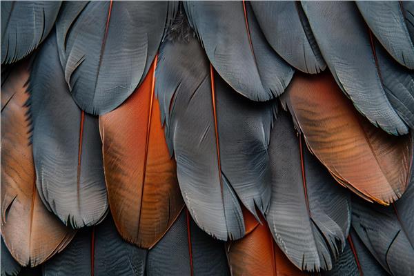 Tuy Design Wallpaper by MywallpaperShop
