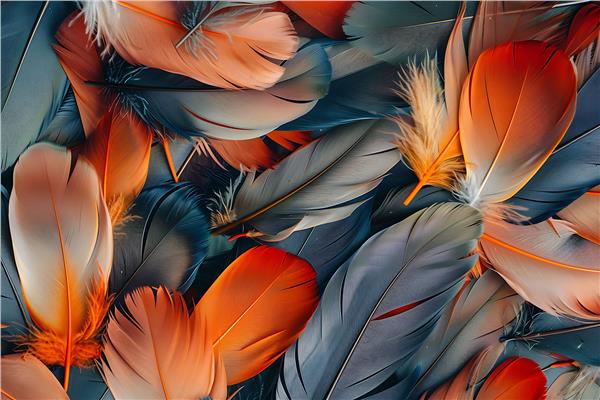 Tuy Design Wallpaper by MywallpaperShop