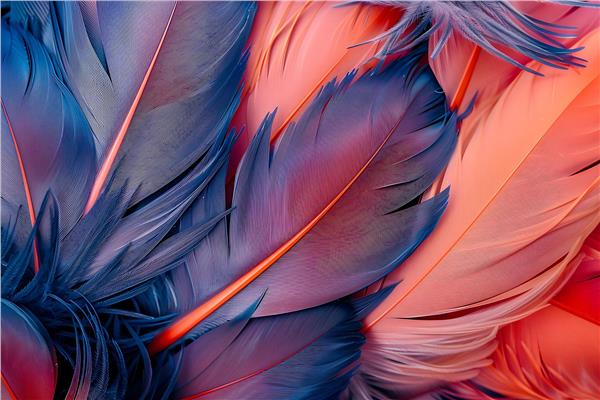 Tuy Design Wallpaper by MywallpaperShop