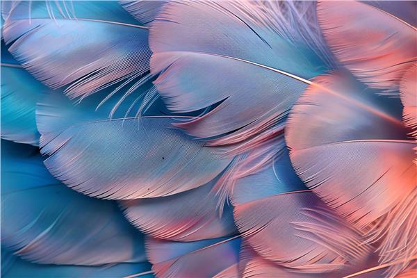 Tavandan Sarkan Tuyler Wallpaper by MywallpaperShop