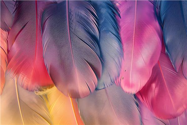 Tavandan Sarkan Tuyler Wallpaper by MywallpaperShop