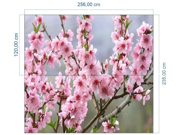 Pink Kiraz Tree Wallpaper by MywallpaperShop