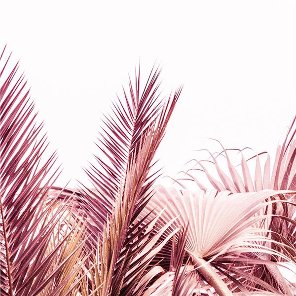 Leaf Design Big Palm Tree Leaflari Wallpaper by MywallpaperShop