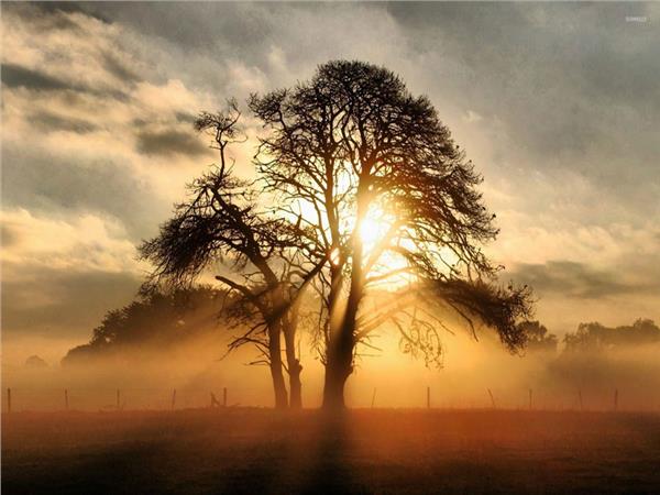 Nature Scenery Wallpaper by MywallpaperShop