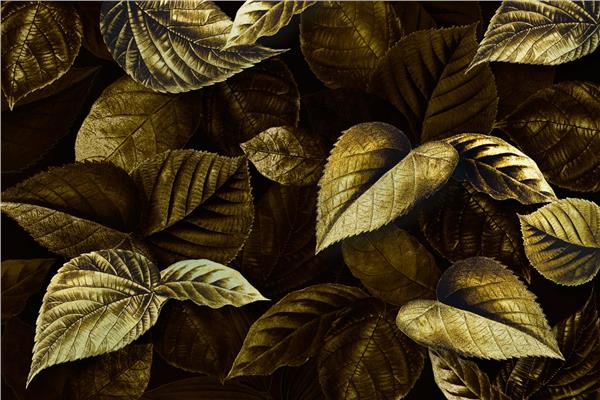 Leaf Wallpaper by MywallpaperShop