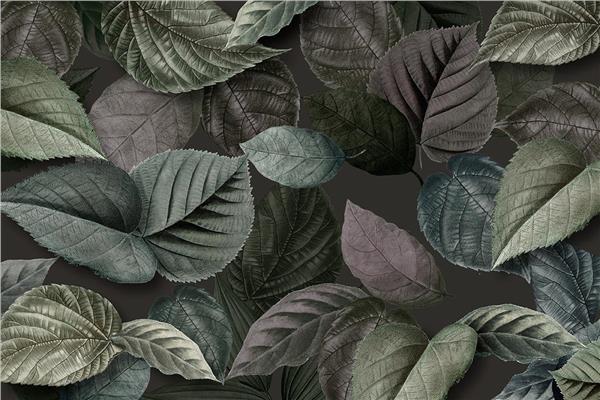 Big Green Leaves Wallpaper by MywallpaperShop