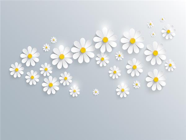 Papatya Flower Design Wallpaper by MywallpaperShop