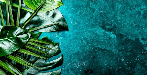 Palm Tree Leaves Wallpaper by MywallpaperShop