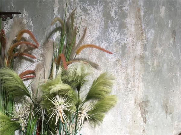 Green Tuyler Wallpaper by MywallpaperShop