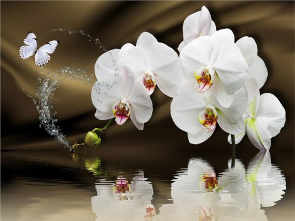 Flower Design 0109 Wallpaper by MywallpaperShop