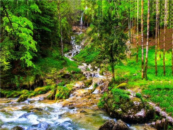 Waterfall Scenery Wallpaper by MywallpaperShop