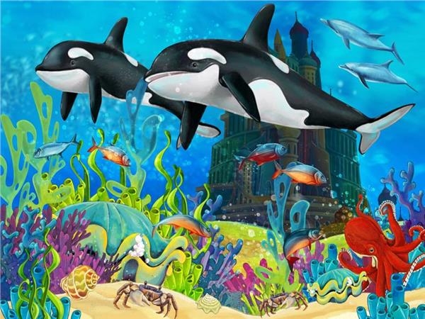 Aquarium Balinalar Kids Room Wallpaper by MywallpaperShop