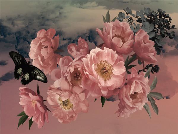 Pink Flower and Butterfly 3D Wallpaper by MywallpaperShop