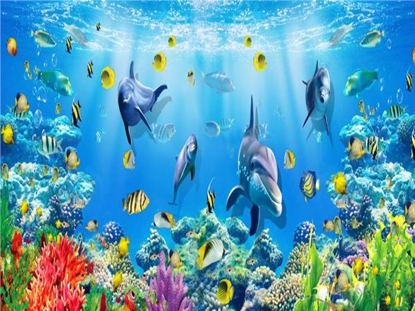 Aquarium 3D Kids Room Wallpaper by MywallpaperShop