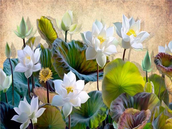 White Flower Design 3D Wallpaper by MywallpaperShop