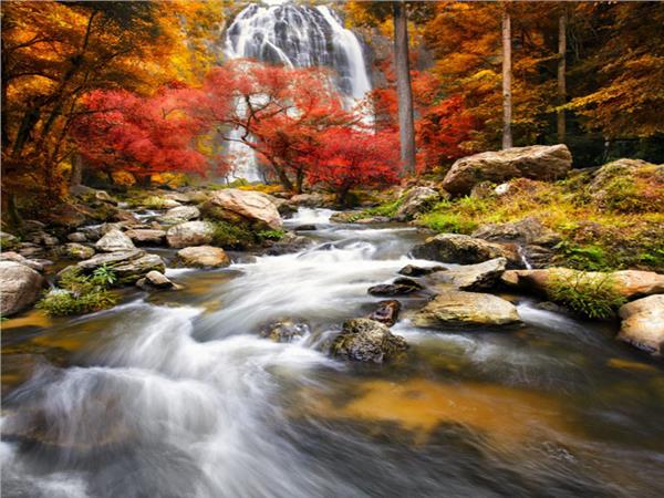 Waterfall Scenery Wallpaper by MywallpaperShop