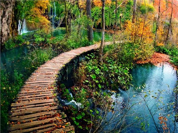 Waterfall Scenery 3D Wallpaper by MywallpaperShop