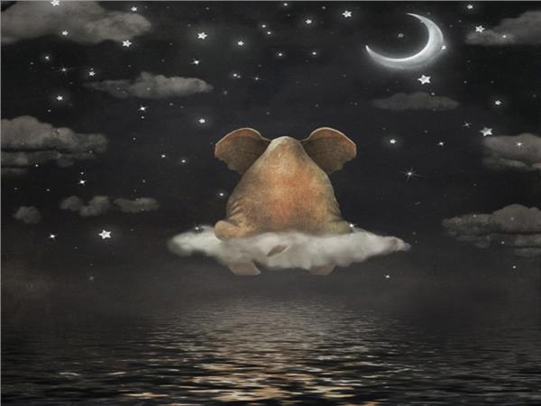 Clouds Uzerindeki Elephant and Cloud Yildiz Ay Kids Room Wallpaper by MywallpaperShop