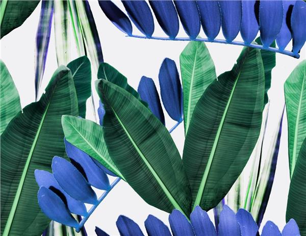 Palm Tree Wallpaper by MywallpaperShop