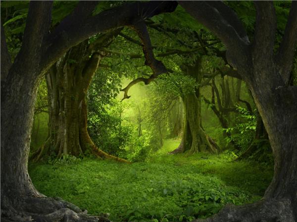 Nature Scenery 070 Wallpaper by MywallpaperShop
