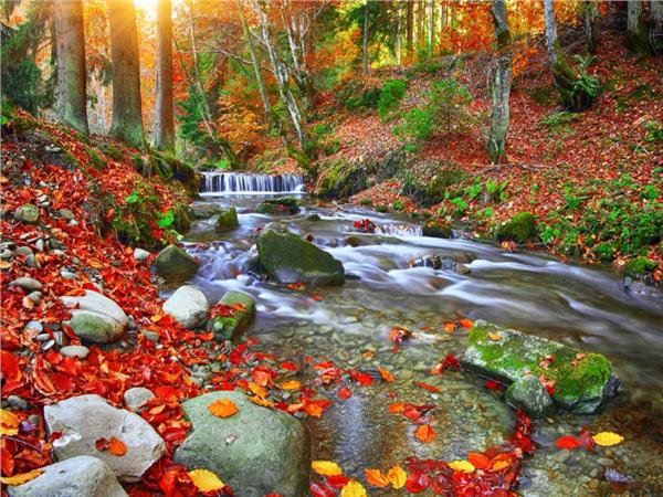 Waterfall Scenery Wallpaper by MywallpaperShop