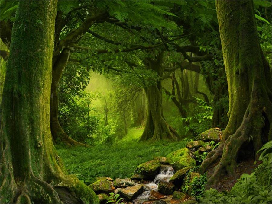 Waterfall Scenery Wallpaper by MywallpaperShop