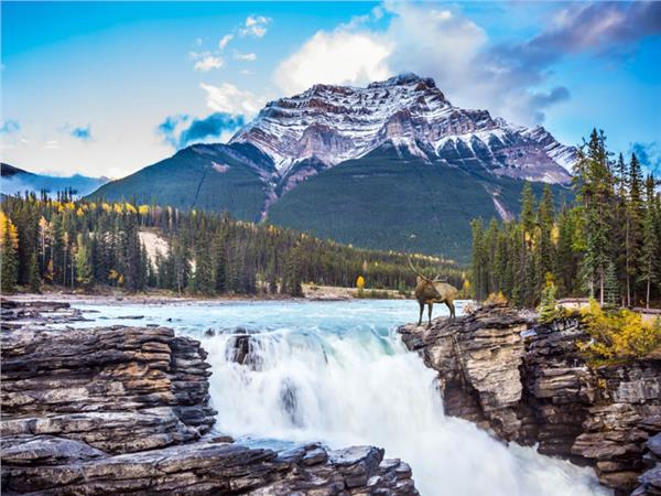 Waterfall Scenery Wallpaper by MywallpaperShop