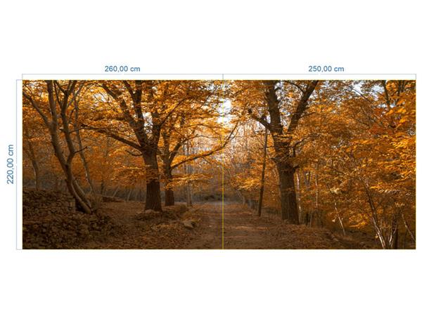 Autumn Scenery and Custom Design Wallpaper by MywallpaperShop