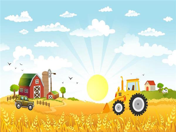 Ciftlik Kids Room Wallpaper by MywallpaperShop