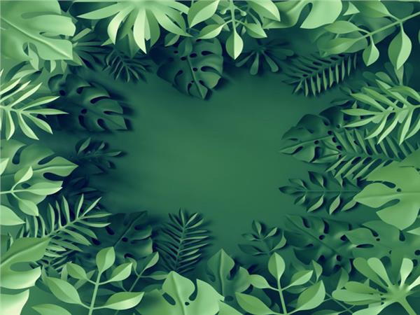 Green Leaflar 3D Wallpaper by MywallpaperShop